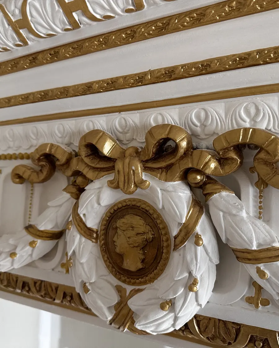 Ornate cornice and decorative ceiling detail painted by ArgenCoat